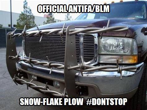 Read more about the article official BLM Antifa plow