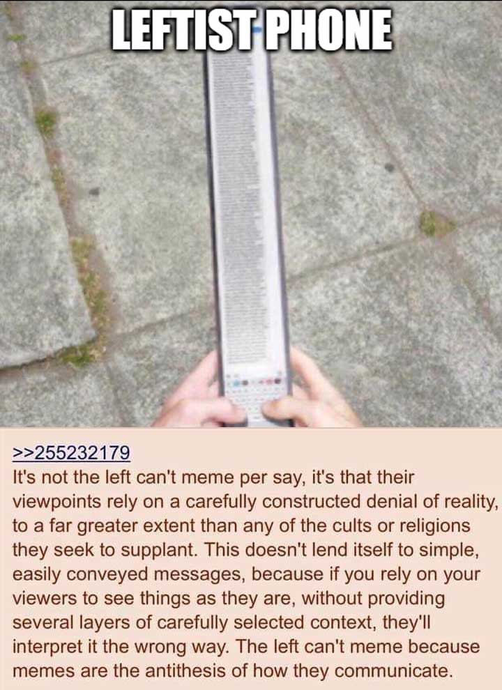 Read more about the article why the left can’t meme