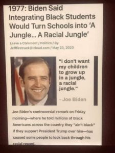 Read more about the article Biden’s jungle