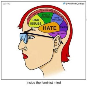 Read more about the article inside the feminist mind