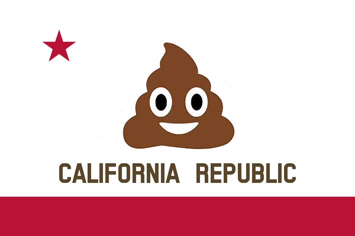 new California state flag