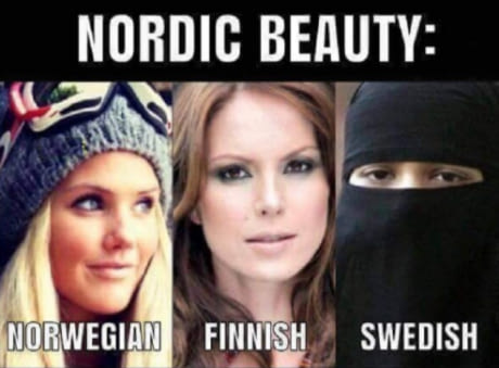 Read more about the article nordic beauty