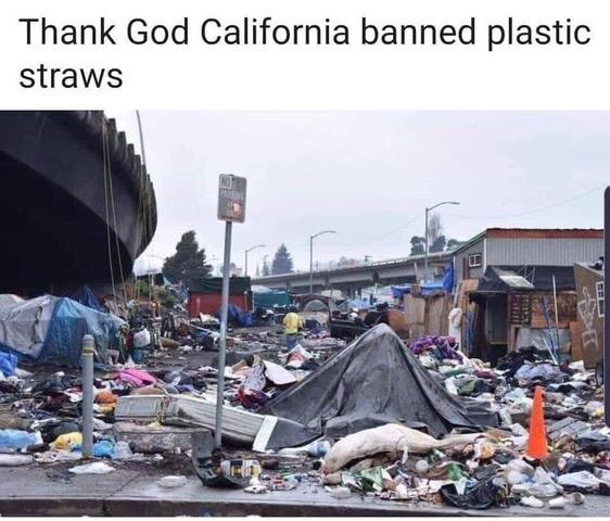 Read more about the article well done California