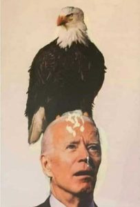 Read more about the article ridin Biden