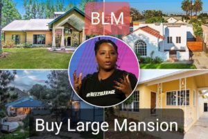 Read more about the article buy large mansion