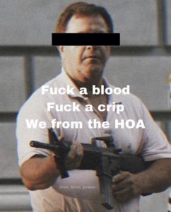 mark mccloskey "we from the hoa"