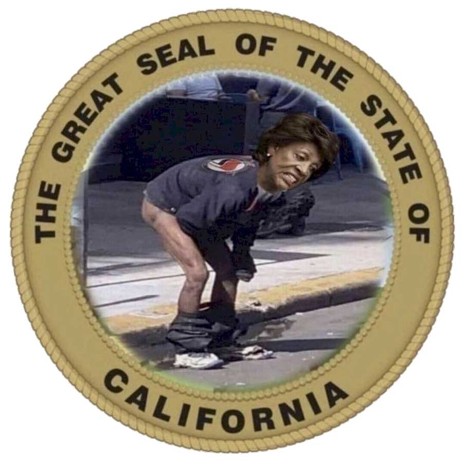 Read more about the article great seal of the state of california