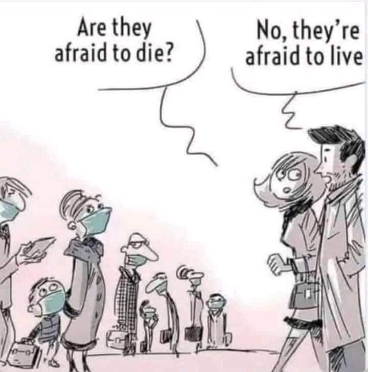 people afraid to live