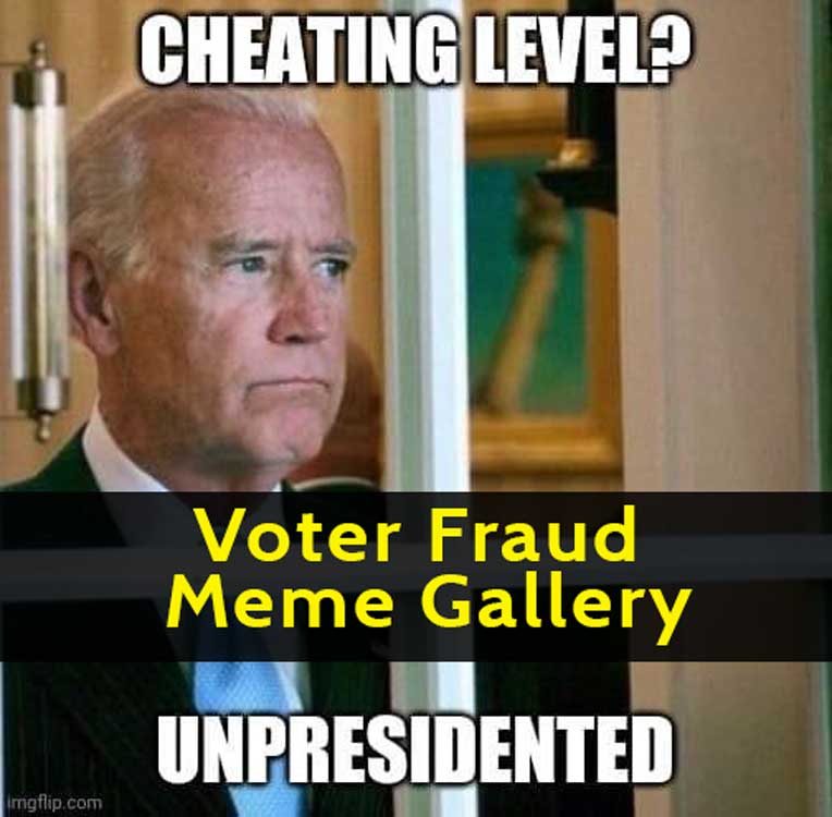 Read more about the article Voter Fraud Meme Gallery