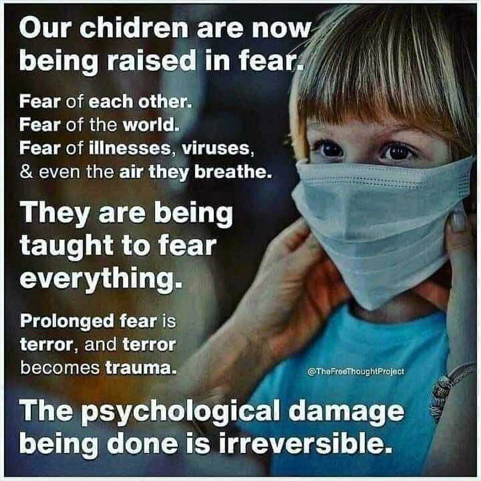Read more about the article being taught to fear
