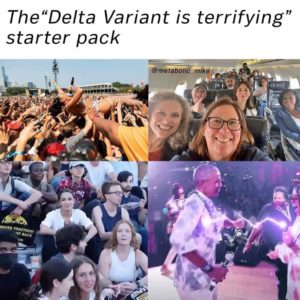 Read more about the article delta variant starter pack