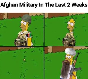 homer going in to bushes afghanistan