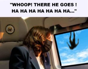 kamala harris looking plane window man falling ha ha ha