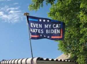 Read more about the article even my cat hates Biden