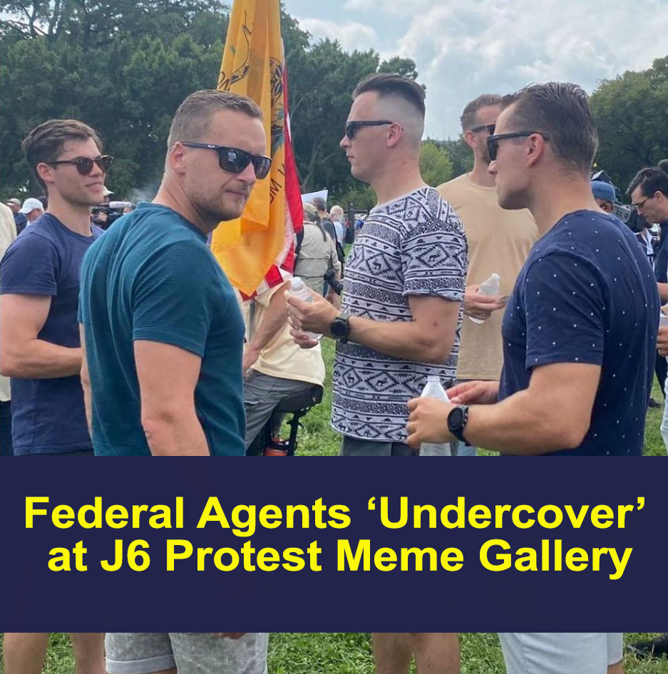 Read more about the article Undercover Feds At Justice For J6 Protest Meme Gallery