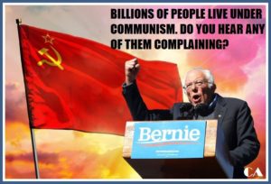 Read more about the article bernie says