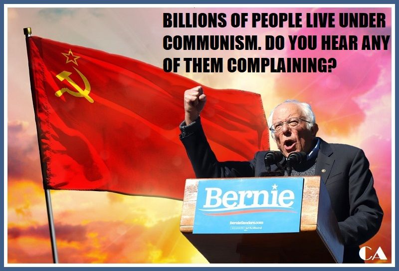 Read more about the article bernie says