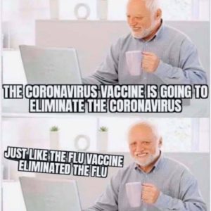 Read more about the article just like the flu