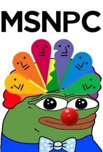 Read more about the article MSNPC