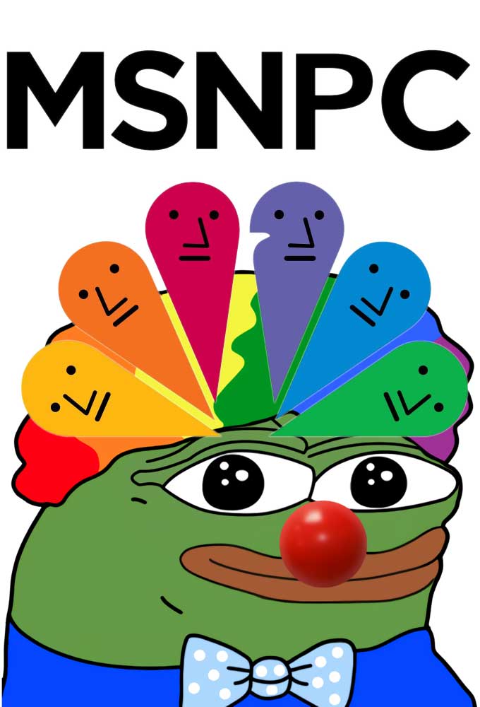 Read more about the article MSNPC