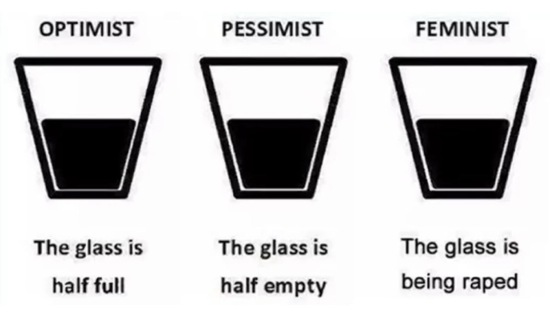 Read more about the article optimist pessimist feminist