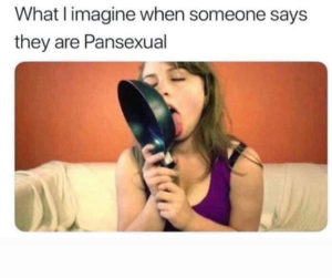 Read more about the article pansexual