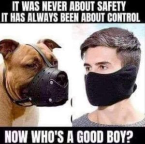Read more about the article who’s a good boy?