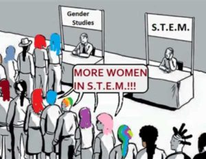 Read more about the article more women in STEM!