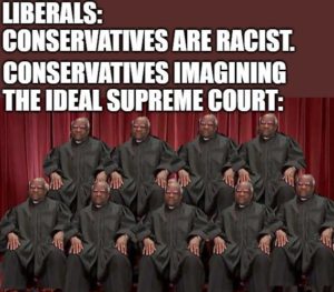 Read more about the article the ideal Supreme Court