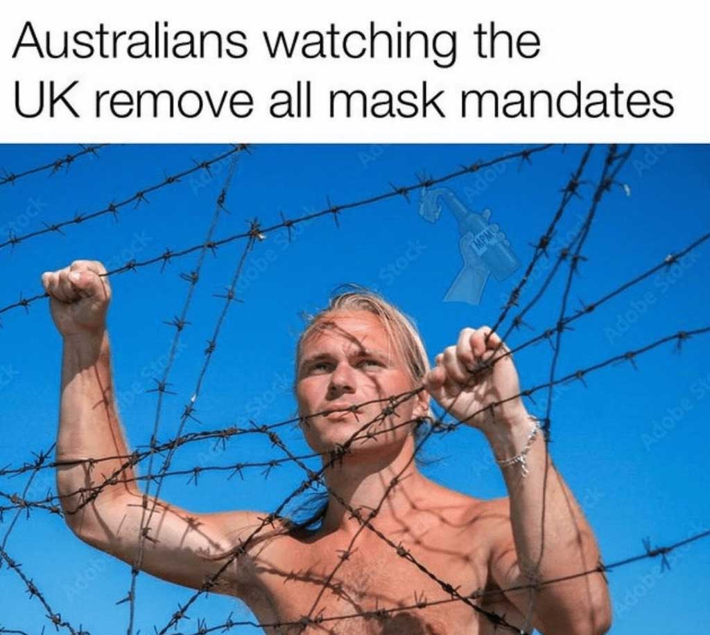 a man looking through barbed wire fence