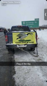favorite canadian geese flag