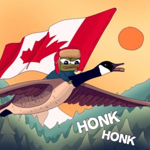 frog riding canadian goose flag