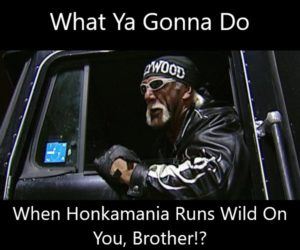 hulk hogan honkamania