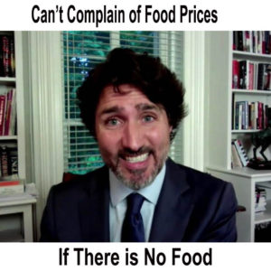 Read more about the article Trudeaunomics