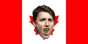 justin trudeau on canadian flag