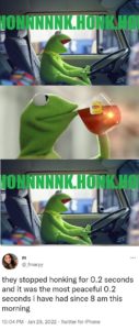 kermit the frog sipping tea honking trucker