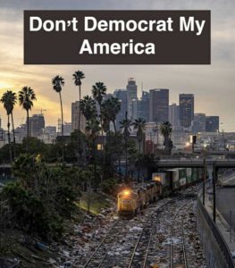 Read more about the article don’t Democrat my America