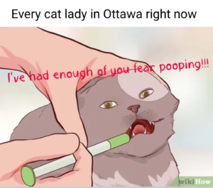 reddit r ottawa cat fear pooping