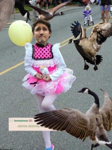 trudeau ballerina chased by geese