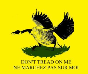 yellow flag gadsen canadian goose don't tread on me ne marchez pas sur moi