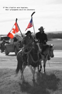 american canadaian horses with hockey sticks