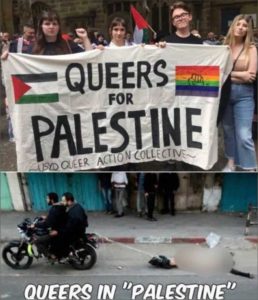 Read more about the article queers for Palestine