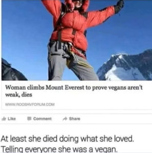 Read more about the article she died doing what she loved
