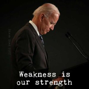 Read more about the article the Biden doctrine