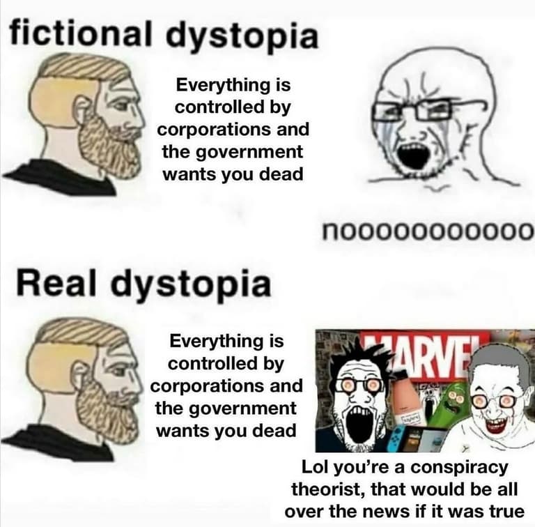Read more about the article real dystopia