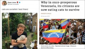 Read more about the article cats really are a socialist’s best friend after all