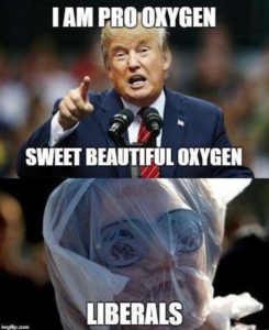 Read more about the article sweet beautiful oxygen
