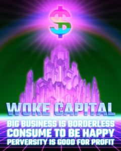 Read more about the article beware woke capital