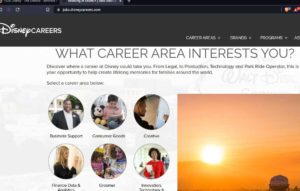 Read more about the article what career area interests you?