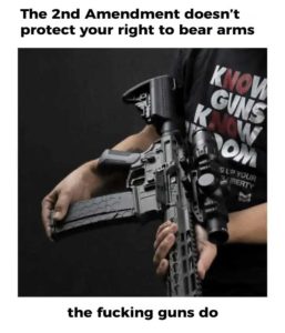 Read more about the article (it’s actually the guns themselves)